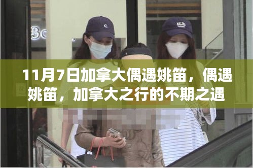 第2382页