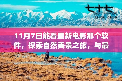 关于我们 第478页