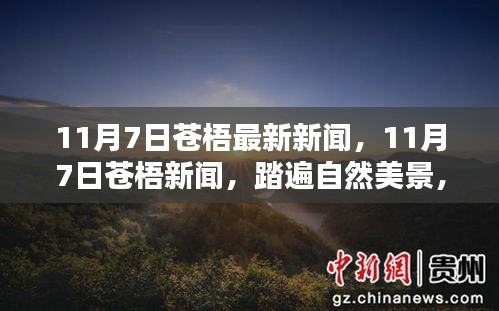 培训课程 第465页