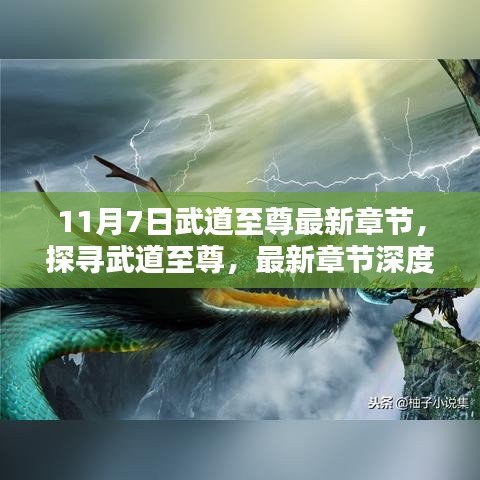 关于我们 第468页