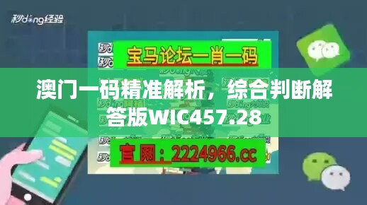 考级报名 第452页