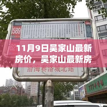 橘虞初梦 第41页