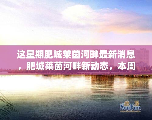 关于我们 第418页