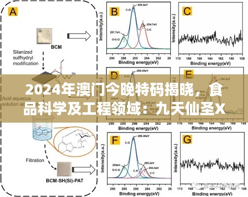 橘虞初梦 第35页