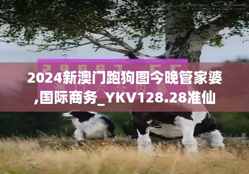 考级报名 第392页