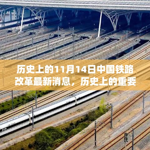 九死一生 第29页
