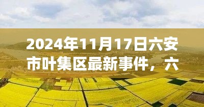联系我们 第335页