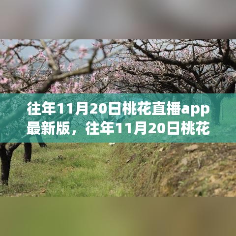 容光焕发 第19页
