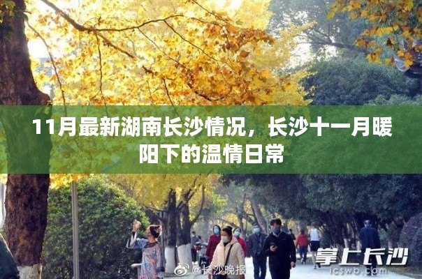 森久 第13页