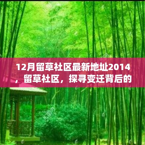风驰电掣 第4页