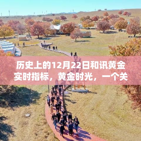 chongshuniaozhuan 第3页