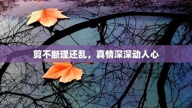 口若悬河 第2页