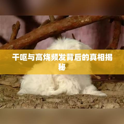 齿白唇红 第2页
