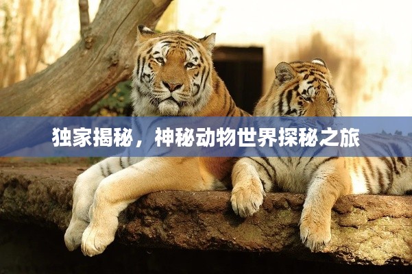 培训课程 第156页
