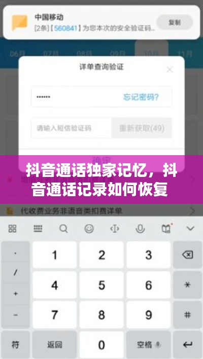 chongshuniaozhuan 第2页