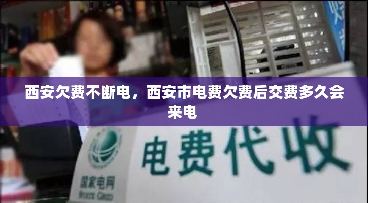 就地取材 第2页