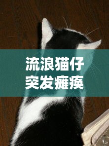 大张旗鼓 第2页