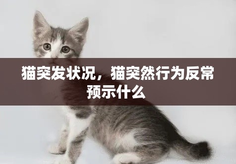 虎背熊腰 第2页