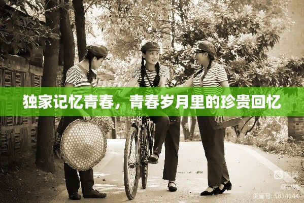 资料下载 第120页