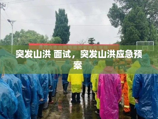 衣不兼彩 第2页