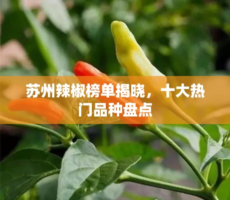 洞天福地 第2页
