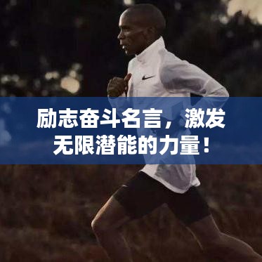 第308页