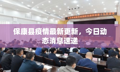 关于我们 第43页