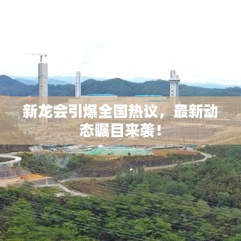 明目张胆