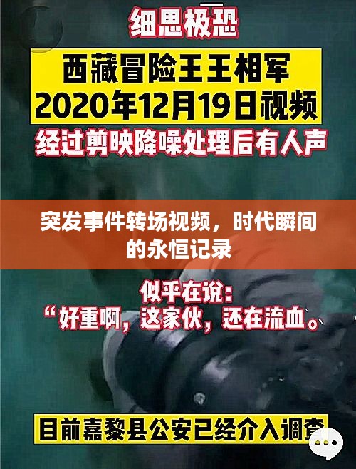 环肥燕瘦