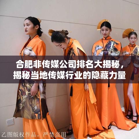 鸿飞雪爪
