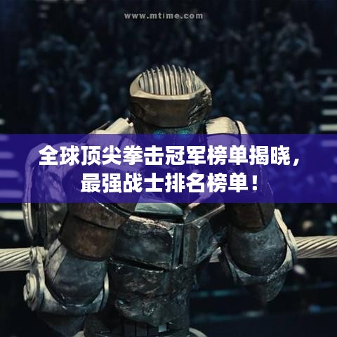 关于我们 第17页