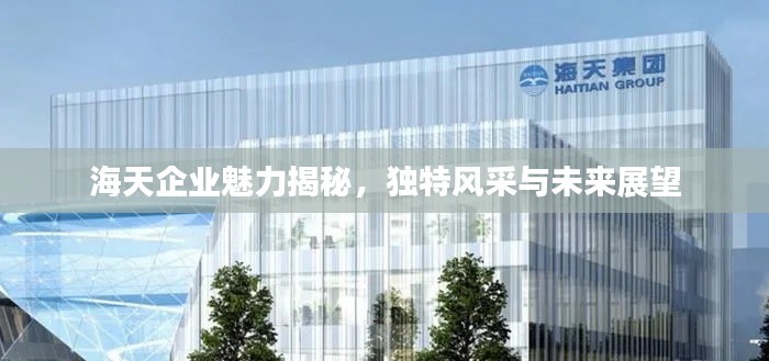 关于我们 第14页
