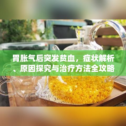 关于我们 第12页