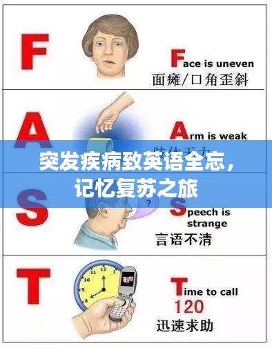 联系我们 第12页