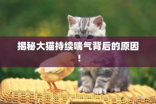 滔滔不绝