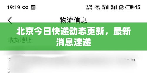 文质彬彬