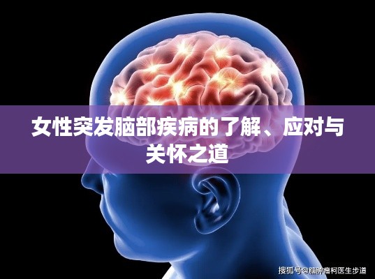 联系我们 第7页