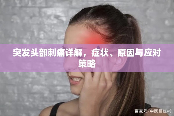鸟云之阵