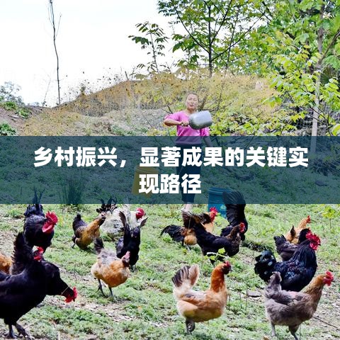 秀外慧中