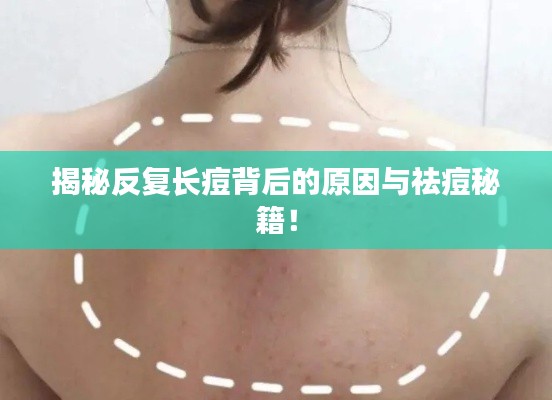 关于我们 第3页