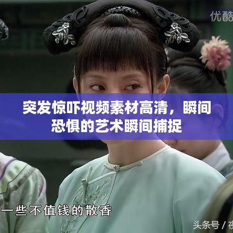 随方就圆