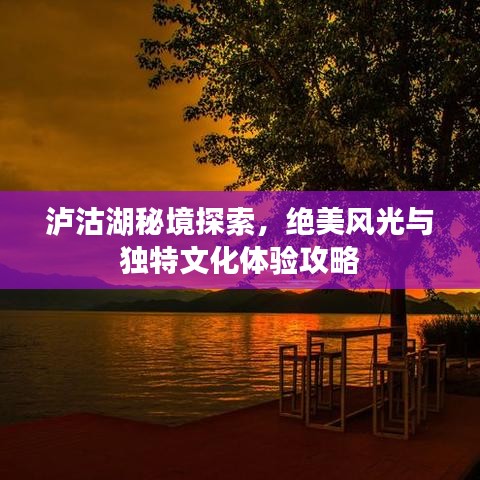 昙花一现