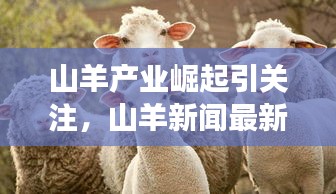 联系我们 第10页