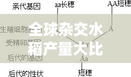 资料下载 第10页